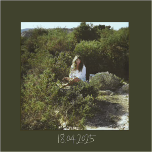 Release Announcement: Thicket of Lies out on 18 April